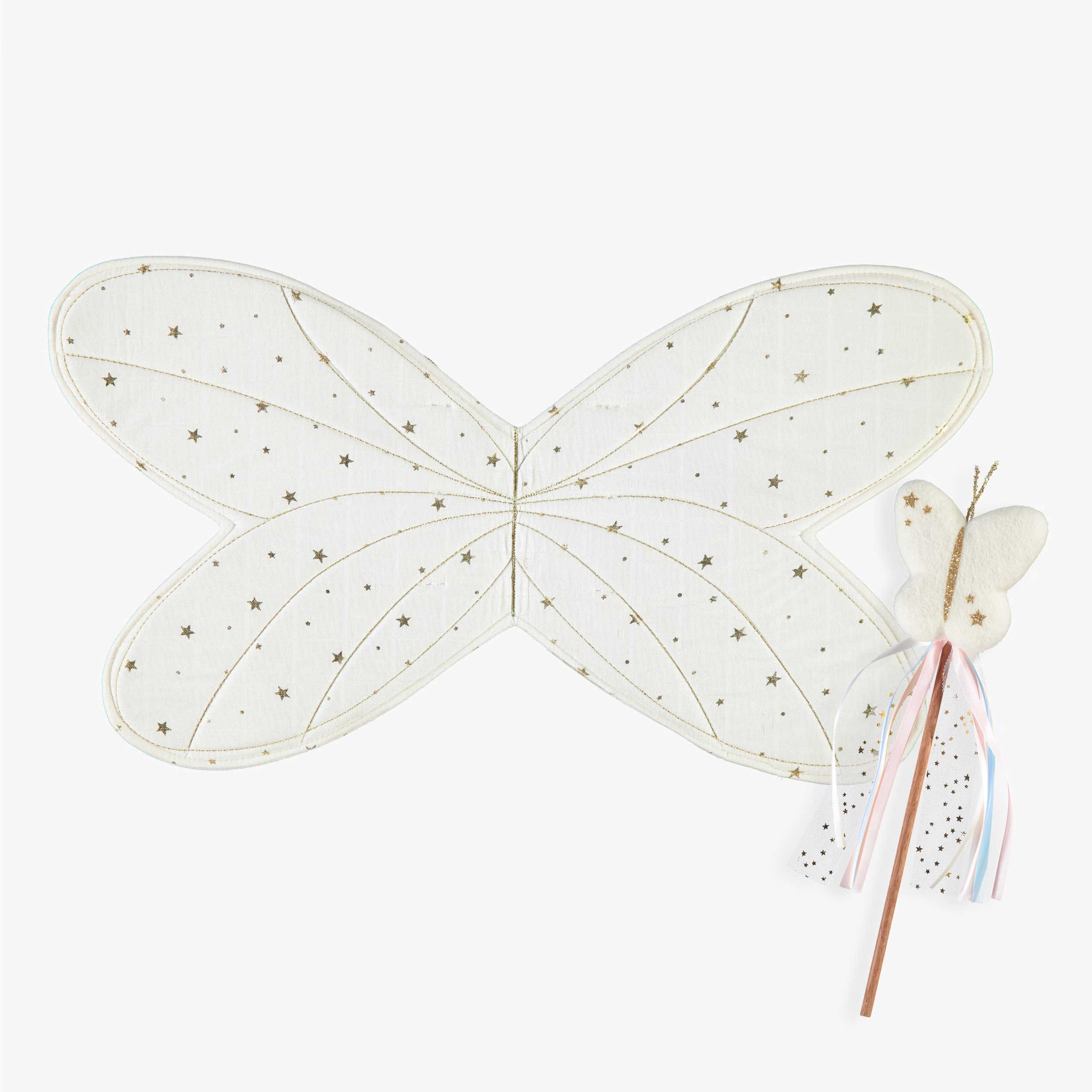 Fairy wings and wand, child