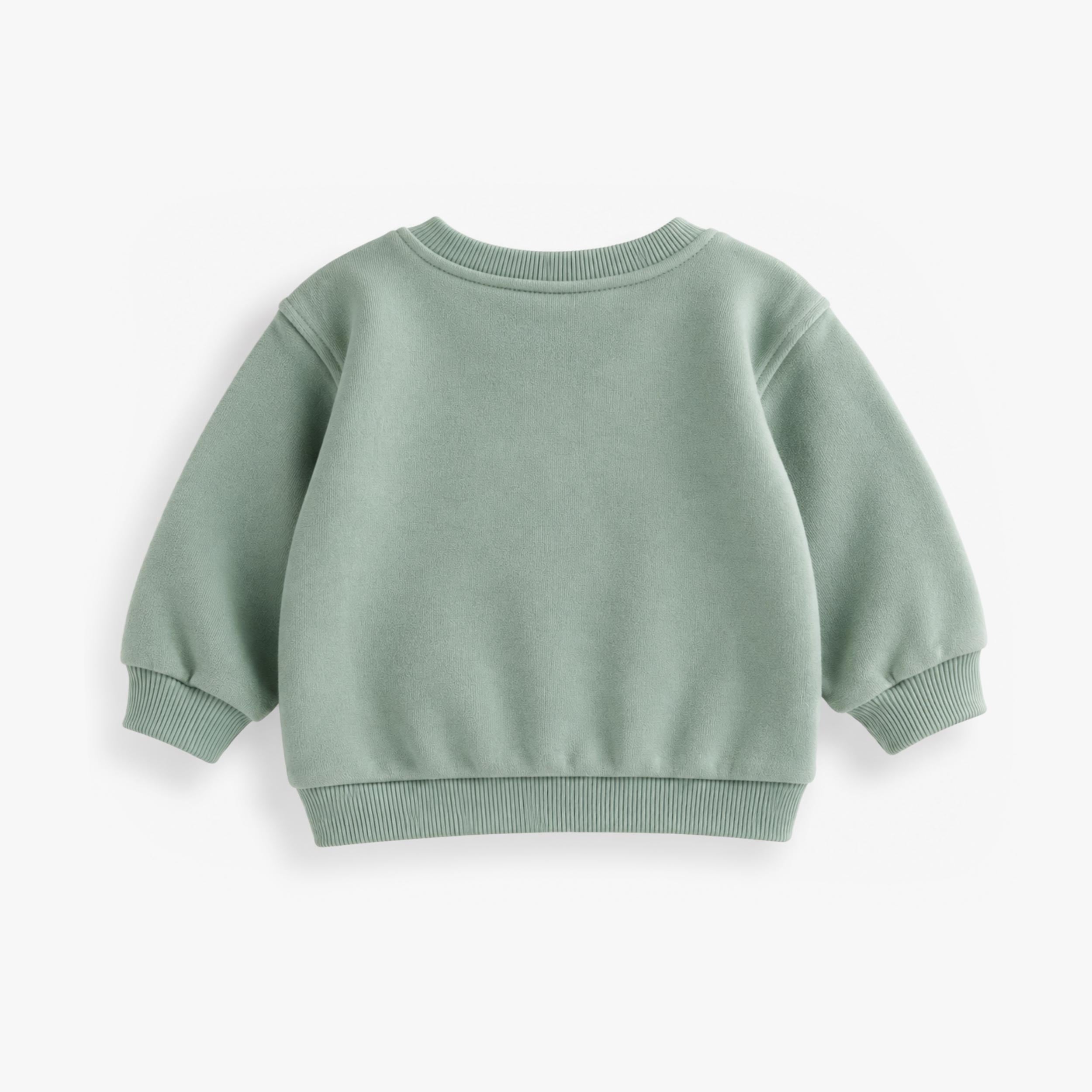 Green sweatshirt with raccoon illustration, baby