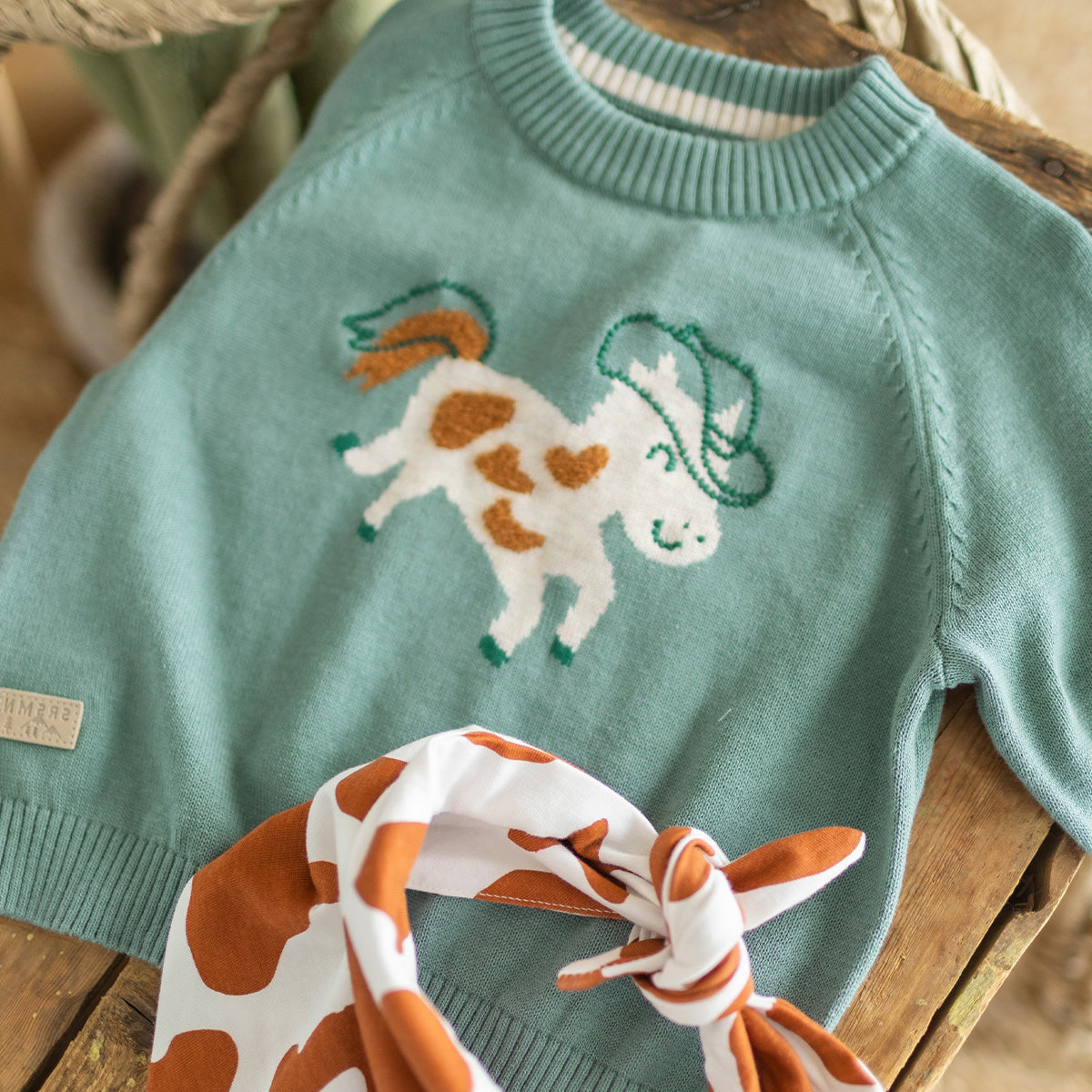 Chandail turquoise en tricot à motif de cheval, bébé