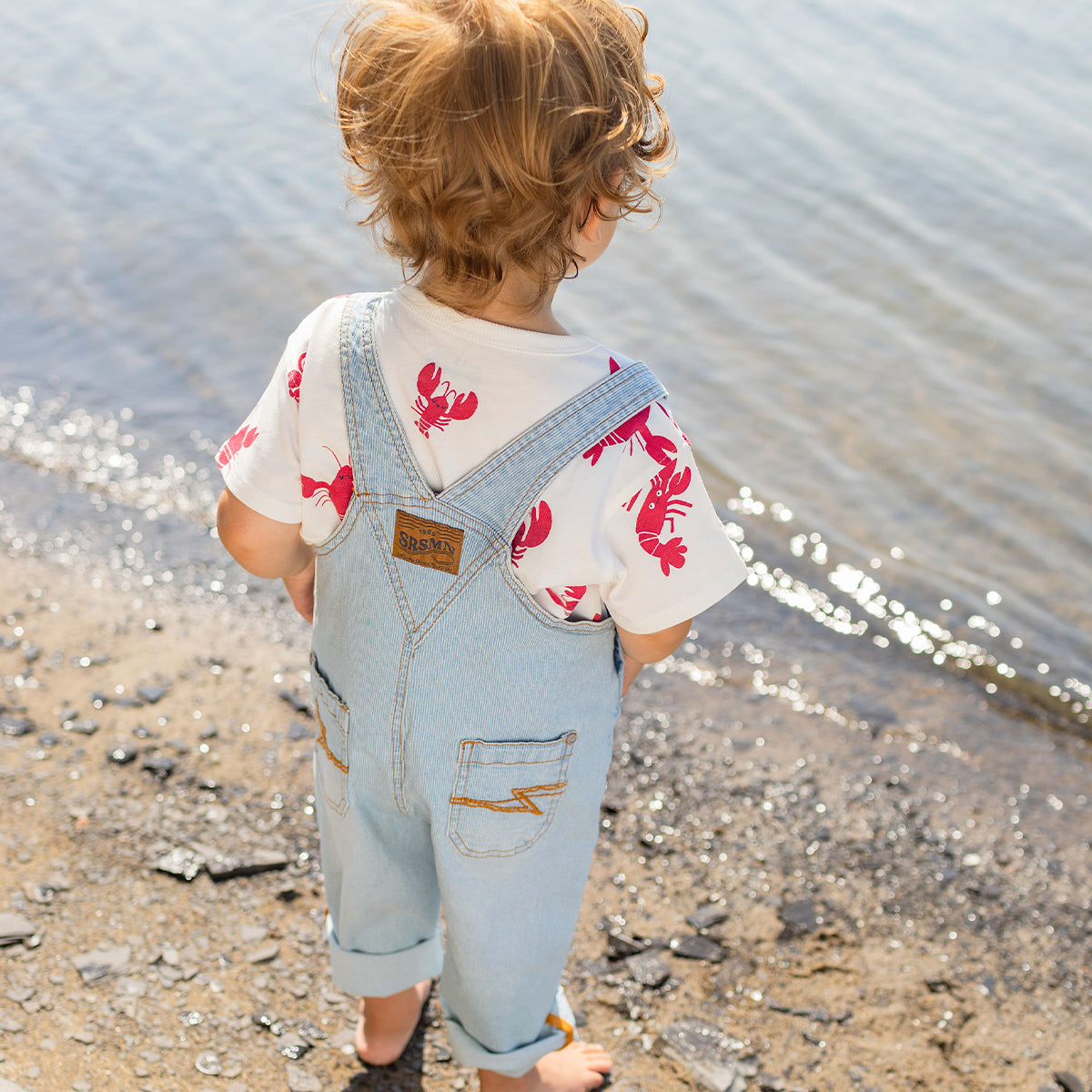 Cream T-shirt with lobster all over print, baby