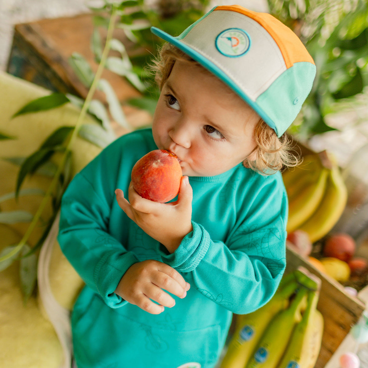 Chandail turquoise à motifs de palmiers et guitares, bébé