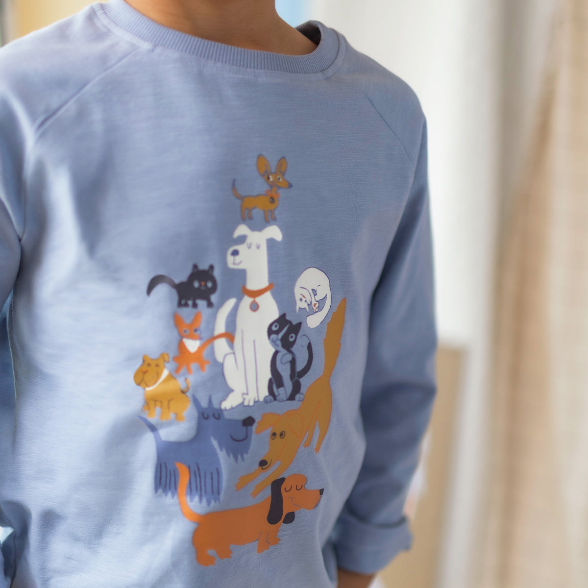 Blue T-shirt with illustration, child