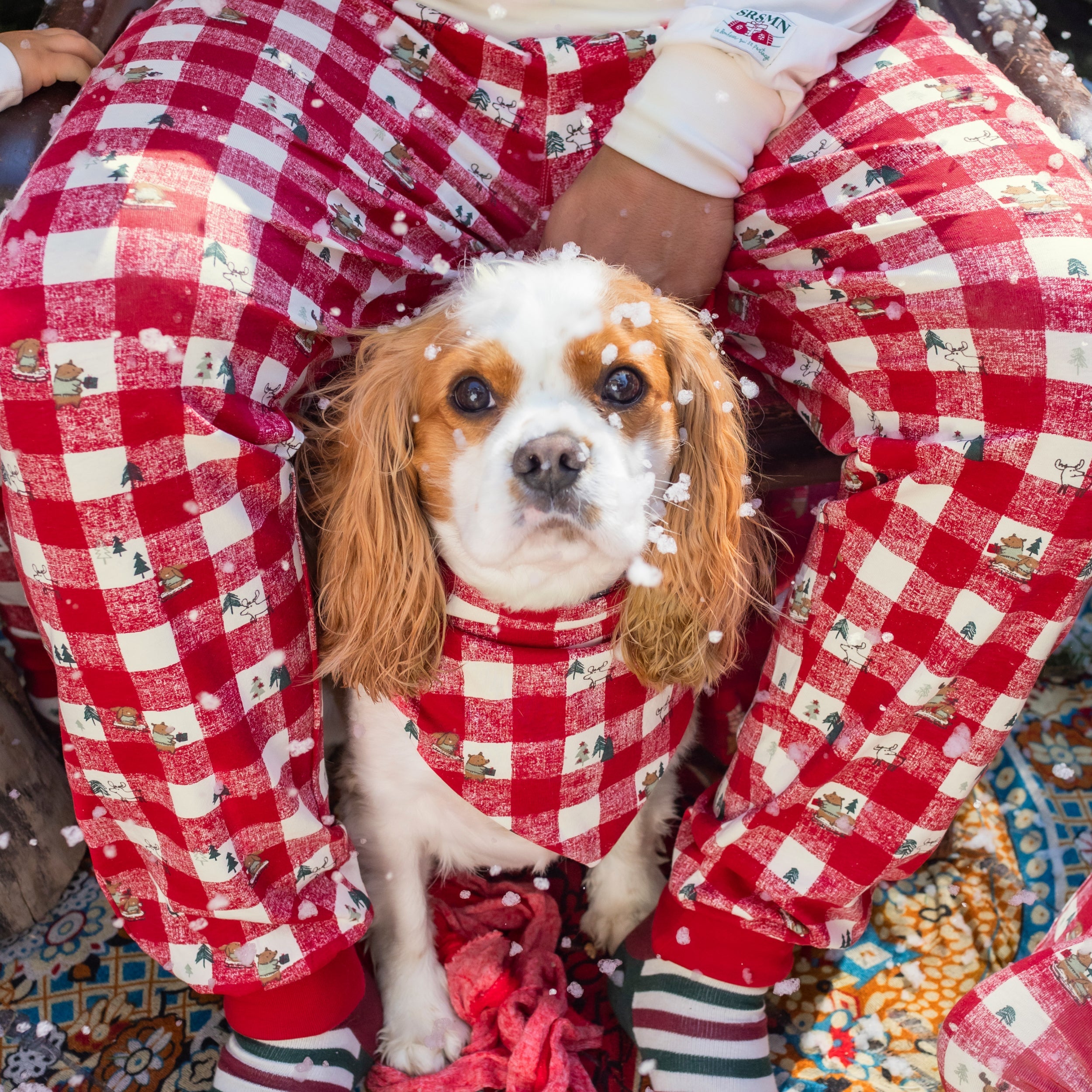 Reversible cream and red animal scarf in jersey with holiday all over print and plaid