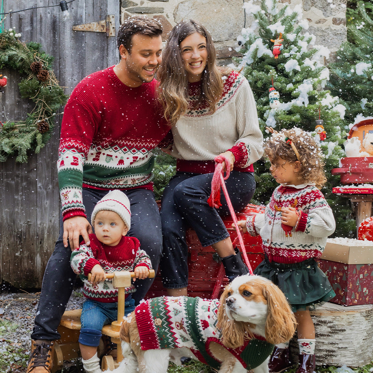 Red and green knit sweater with holiday all-over print for animals