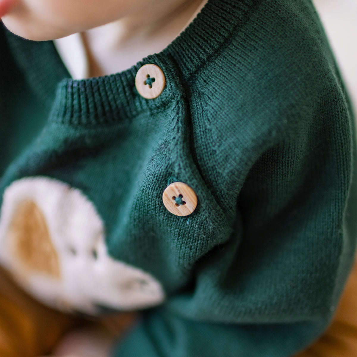 Zoom détails du chandail vert en tricot avec motif jacquard, naissance