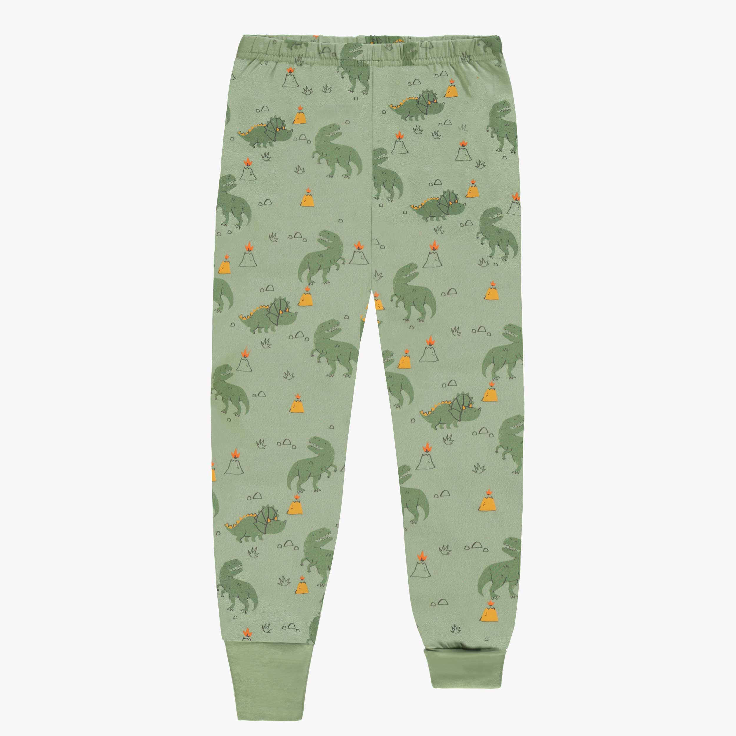 Bas pyjama deux pièces vert à motifs de dinosaures, enfant
