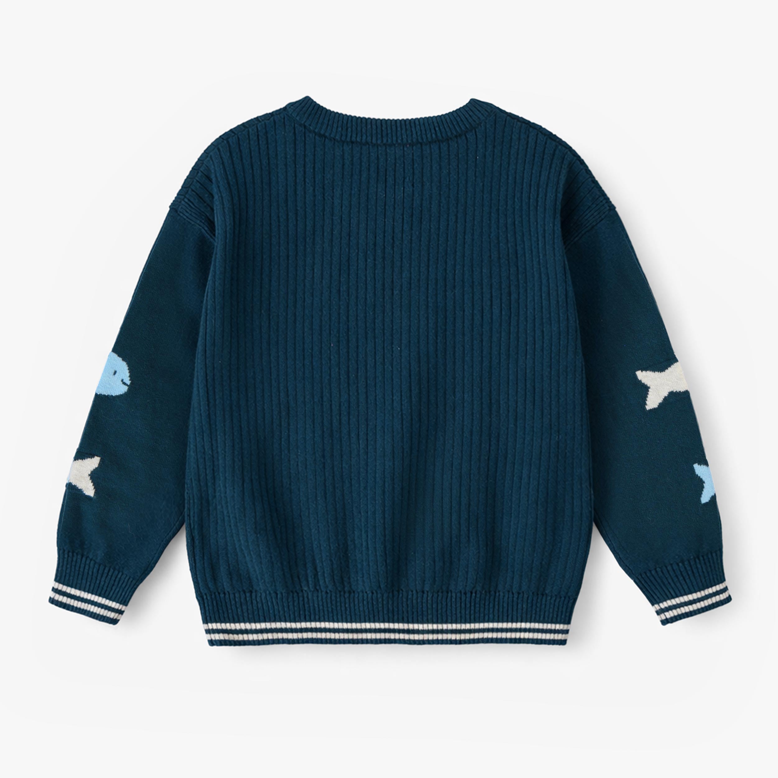 Dos du chandail bleu en tricot avec poissons, enfant