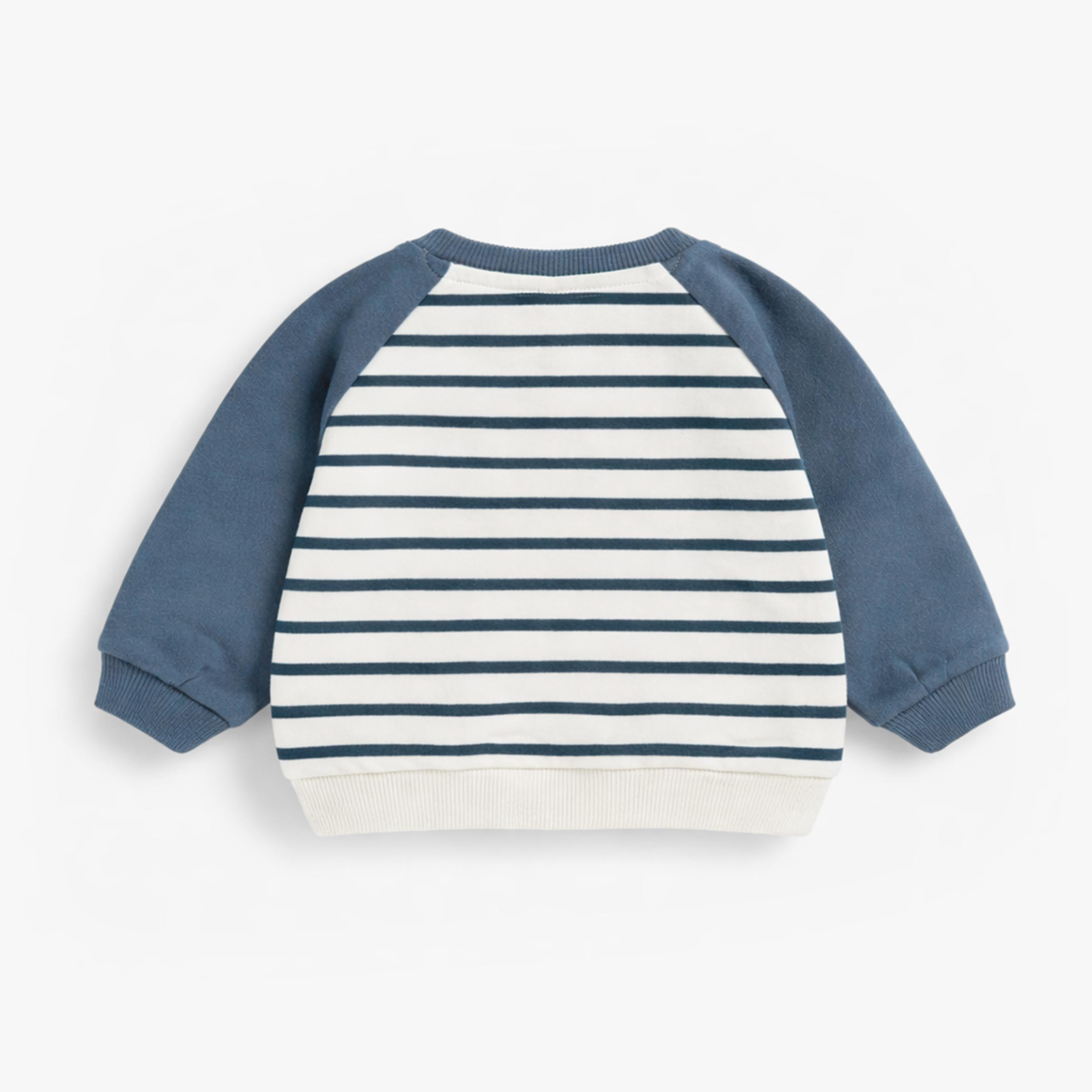 Dos du chandail bleu et crème avec rayures et illustration, naissance