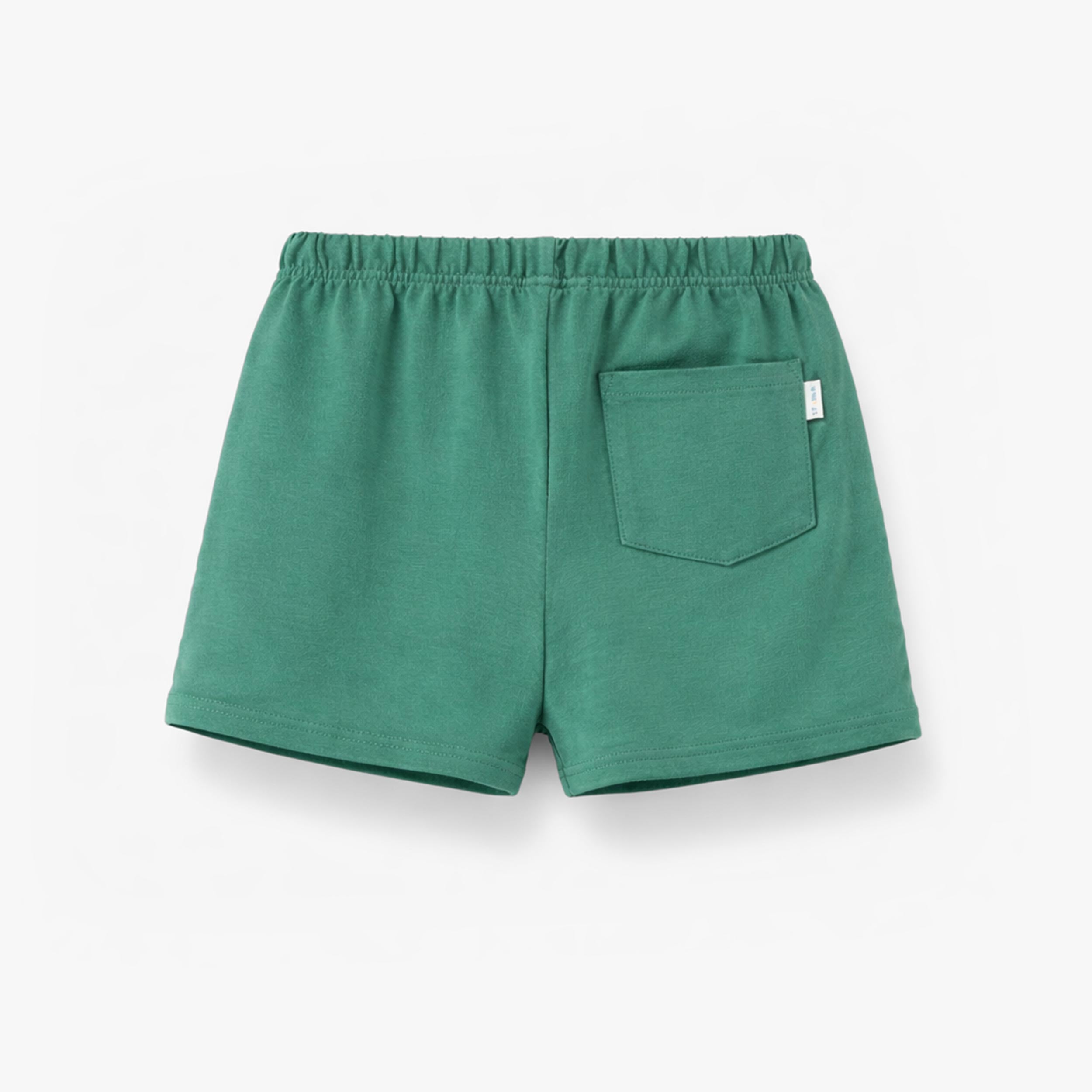 Dos du short vert en jersey, bébé