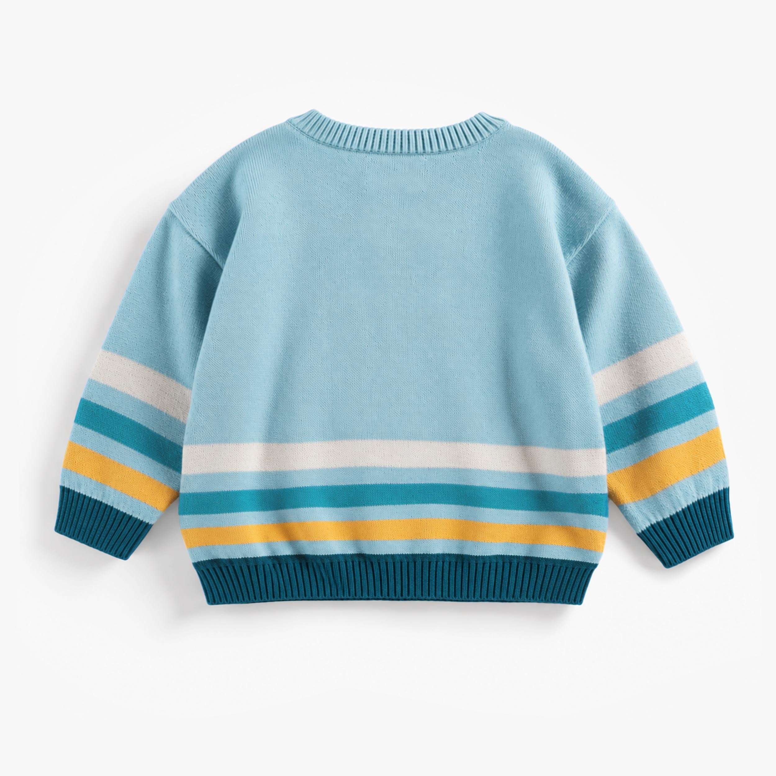 Dos du chandail de maille bleu avec illustration, bébé