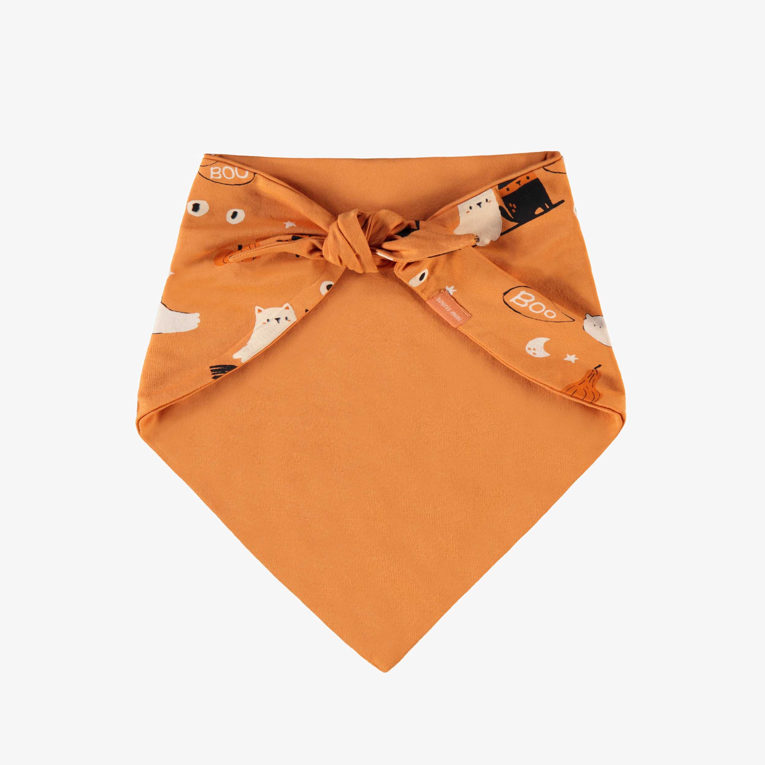 Dos du foulard orange à motifs d’Halloween pour animaux