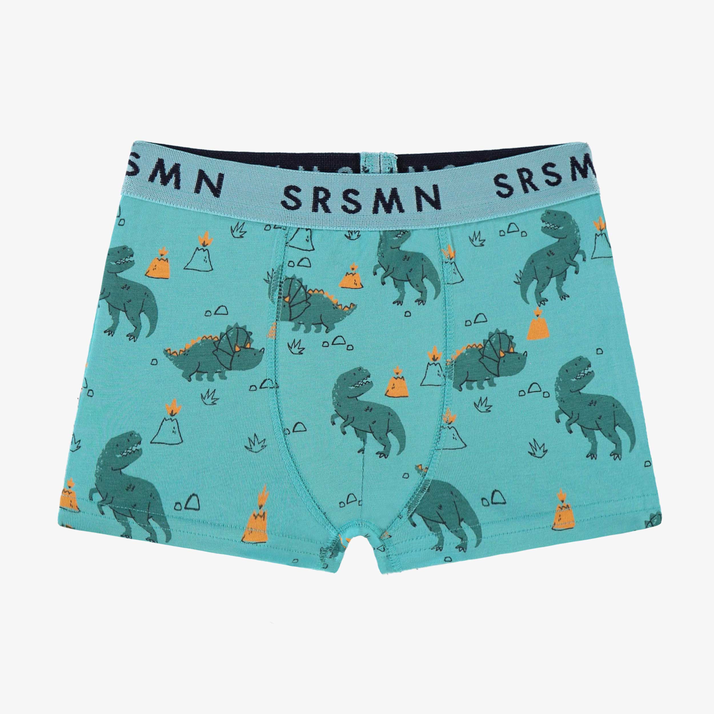 Turquoise boxer brief with dinosaur all over print, child