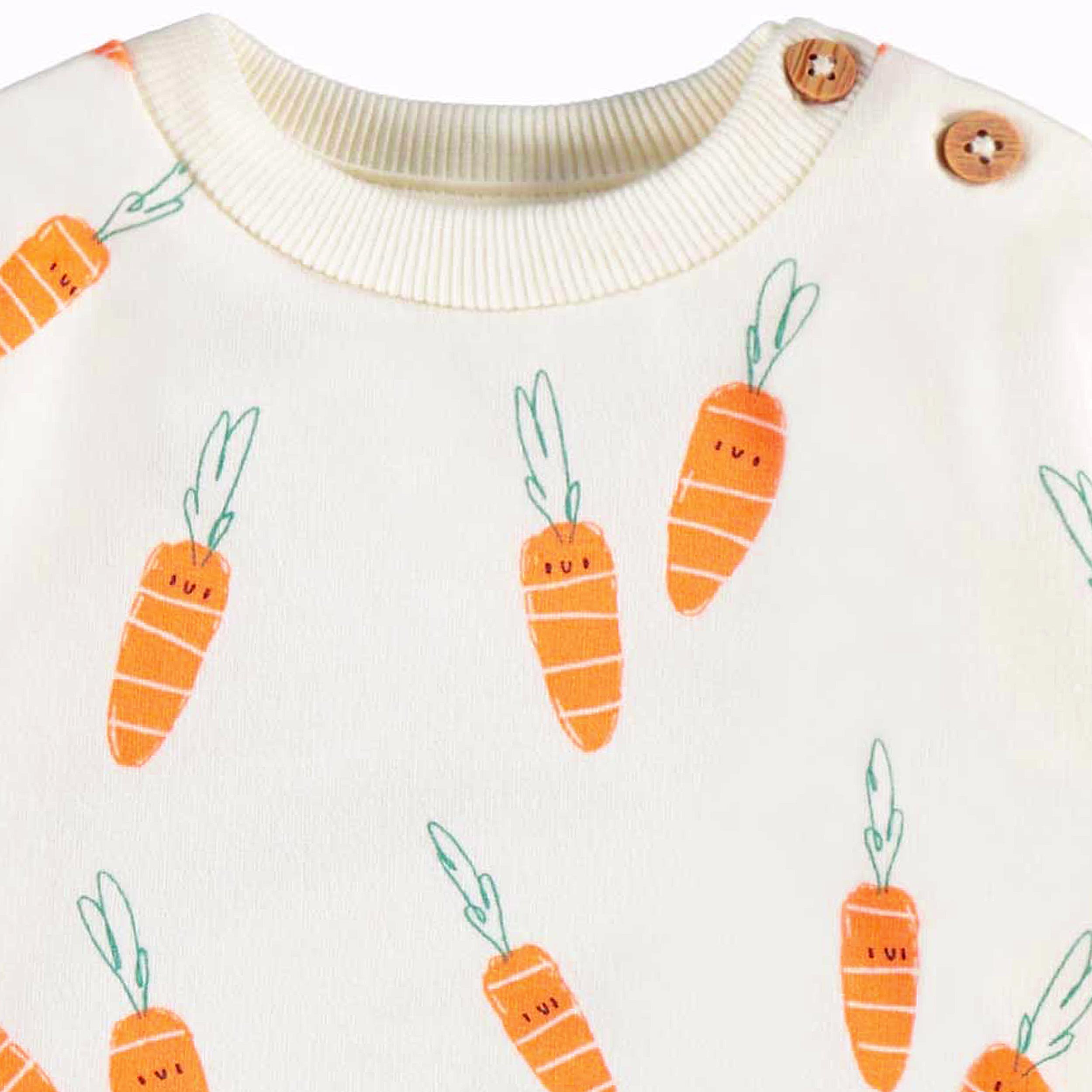 Zoom détails du chandail crème à motifs de carottes, naissance