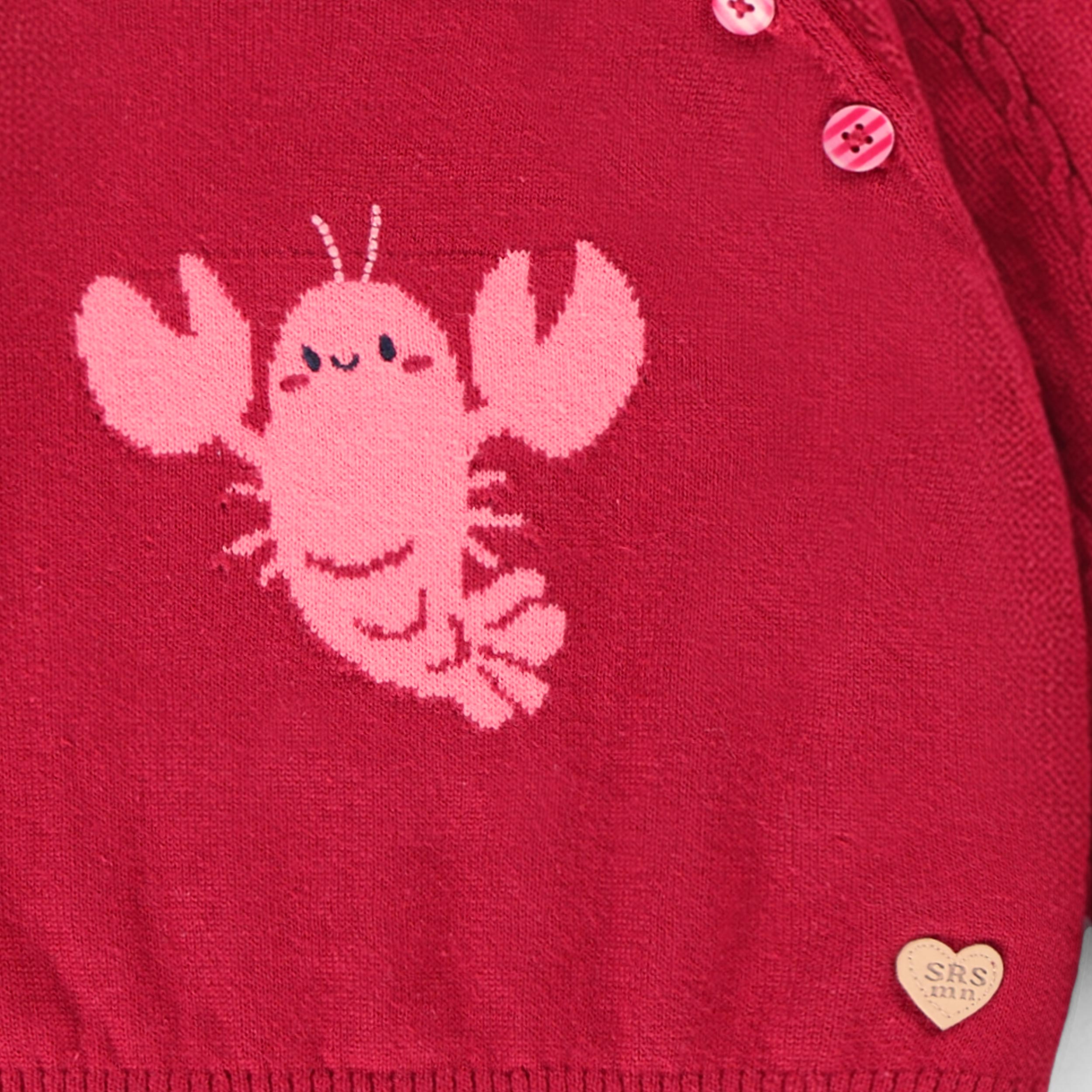 Zoom détails du chandail rouge en tricot avec homard, bébé