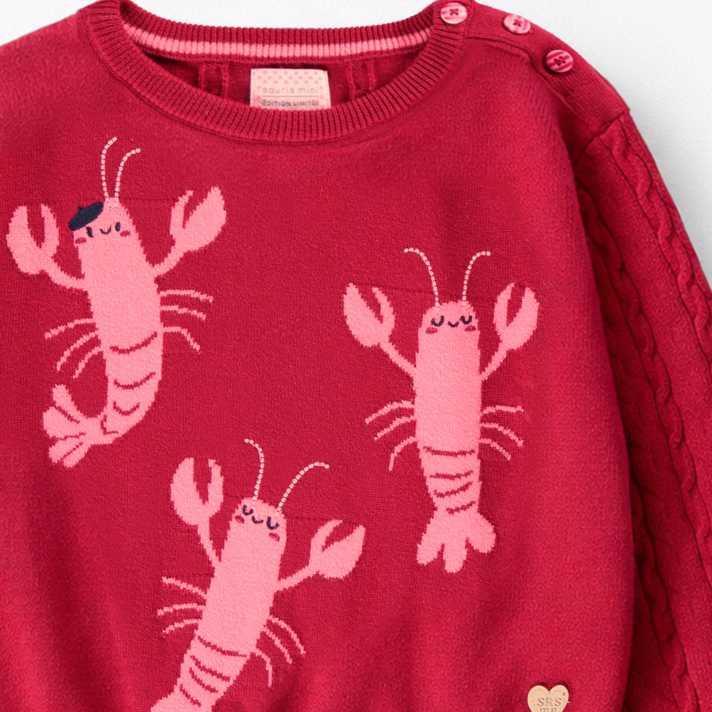 Zoom détails du chandail rouge en tricot avec homards, enfant