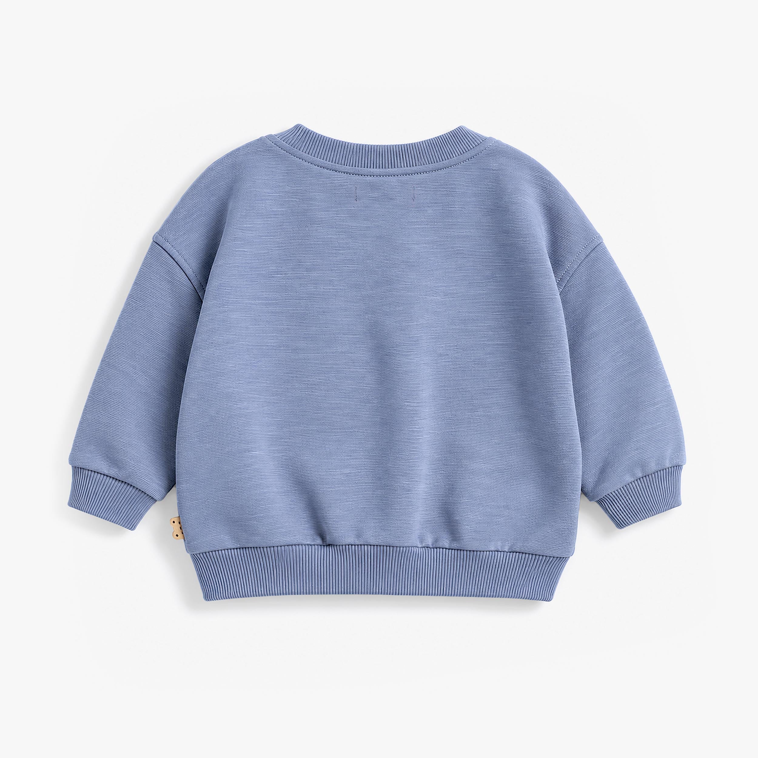 Vue dos du sweat bébé bleu pastel à manches longues