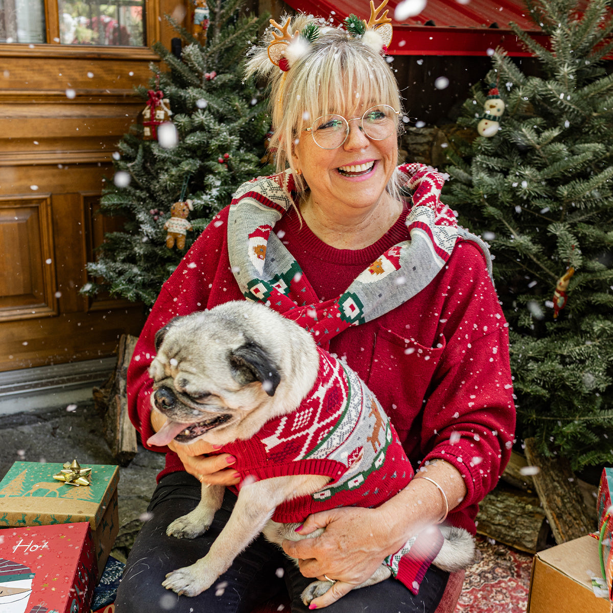 Femme souriante en chandail rouge et foulard de Noël Souris Mini tenant un chien en pull rouge festif devant le sapin.