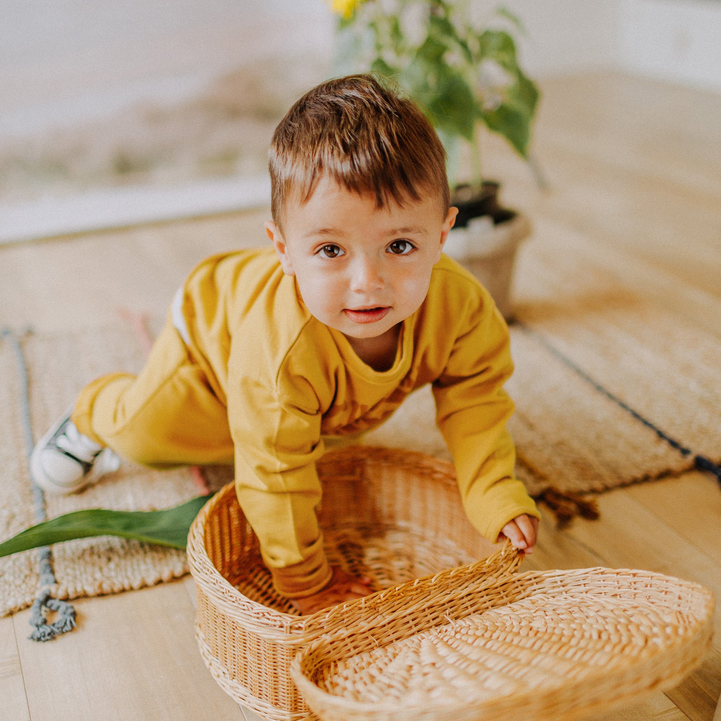 Mustard long sleeves shirt in french terry, baby