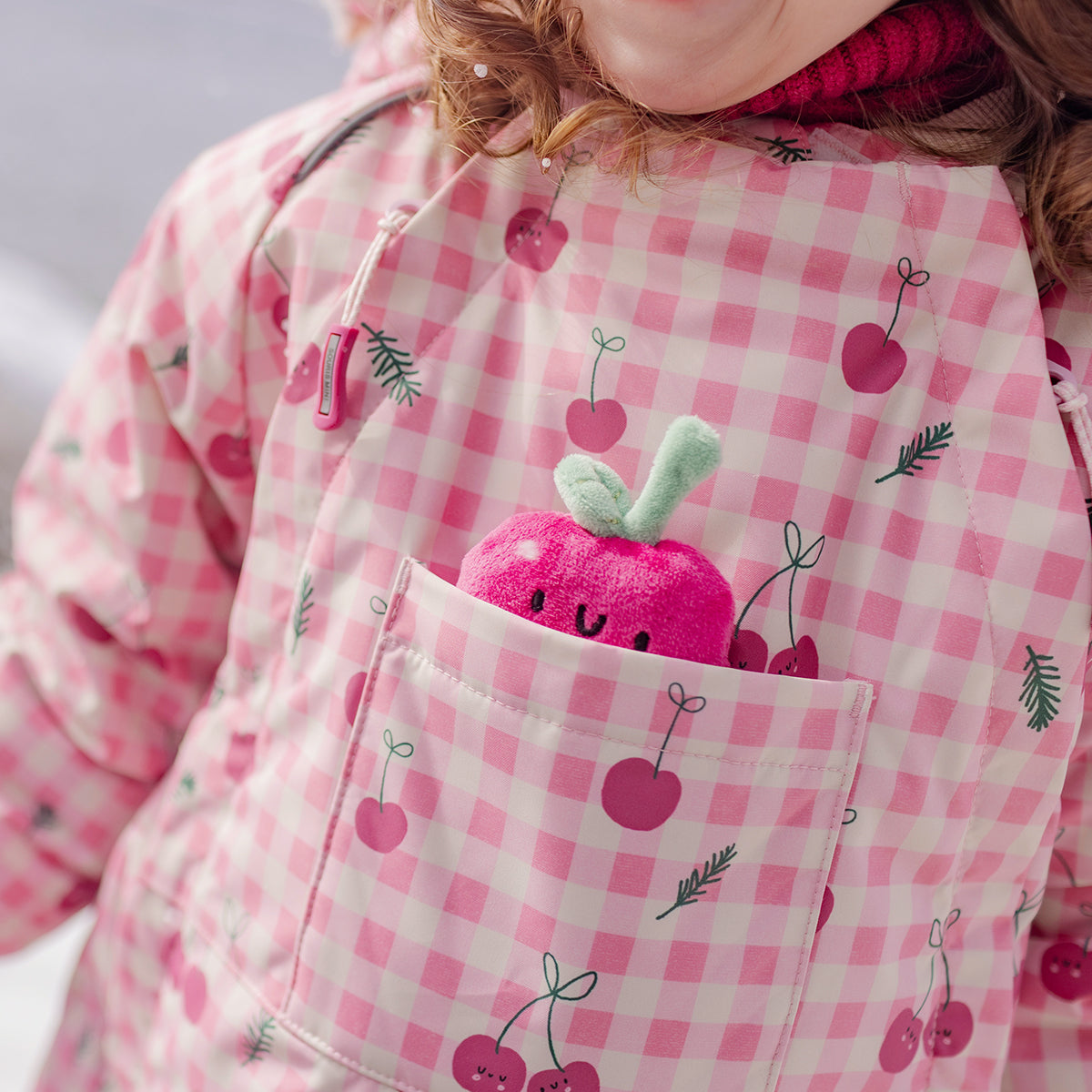 Pink Gingham One-Piece Snowsuit with Print, baby