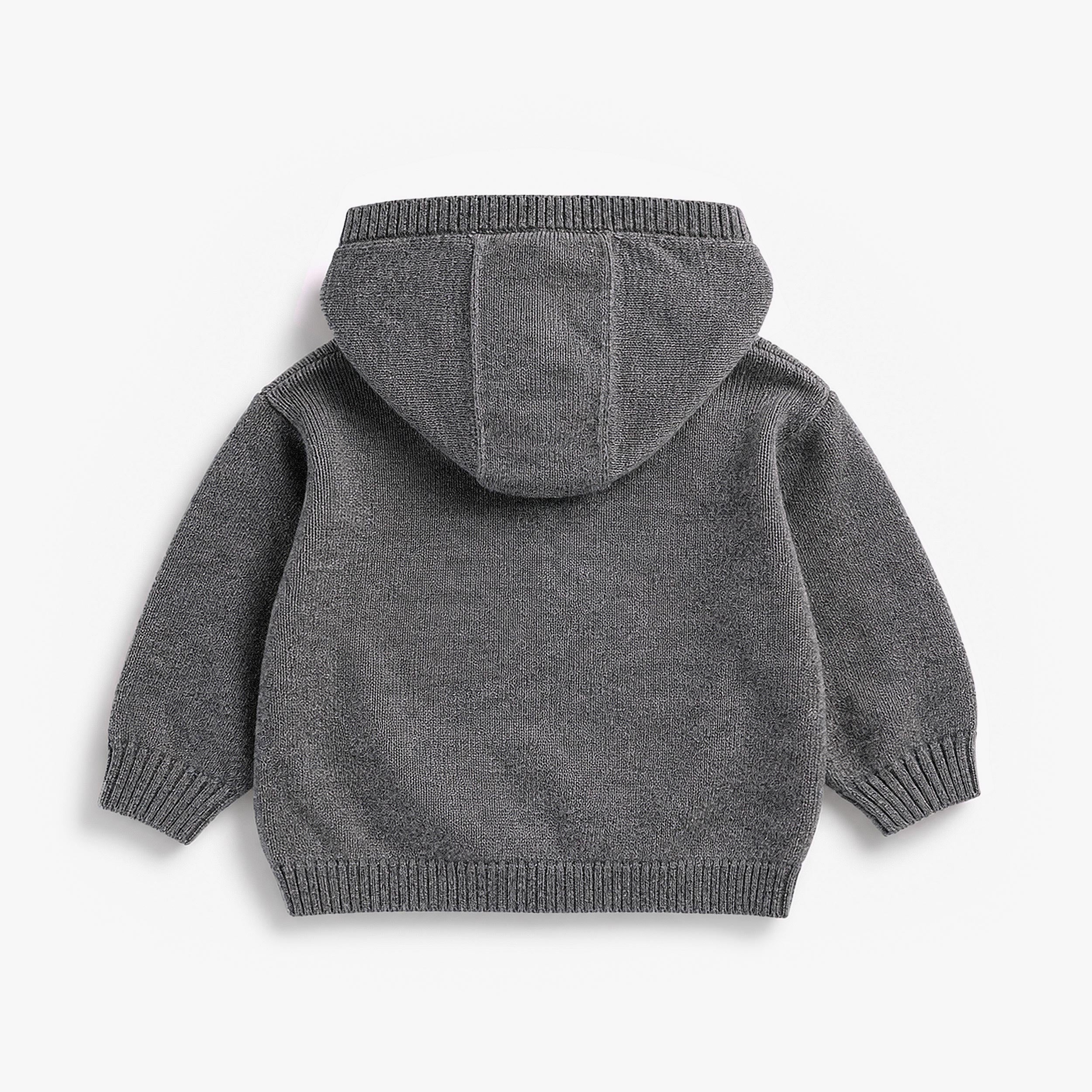 Chandail à capuchon gris à motif de pingouin en tricot, naissance
