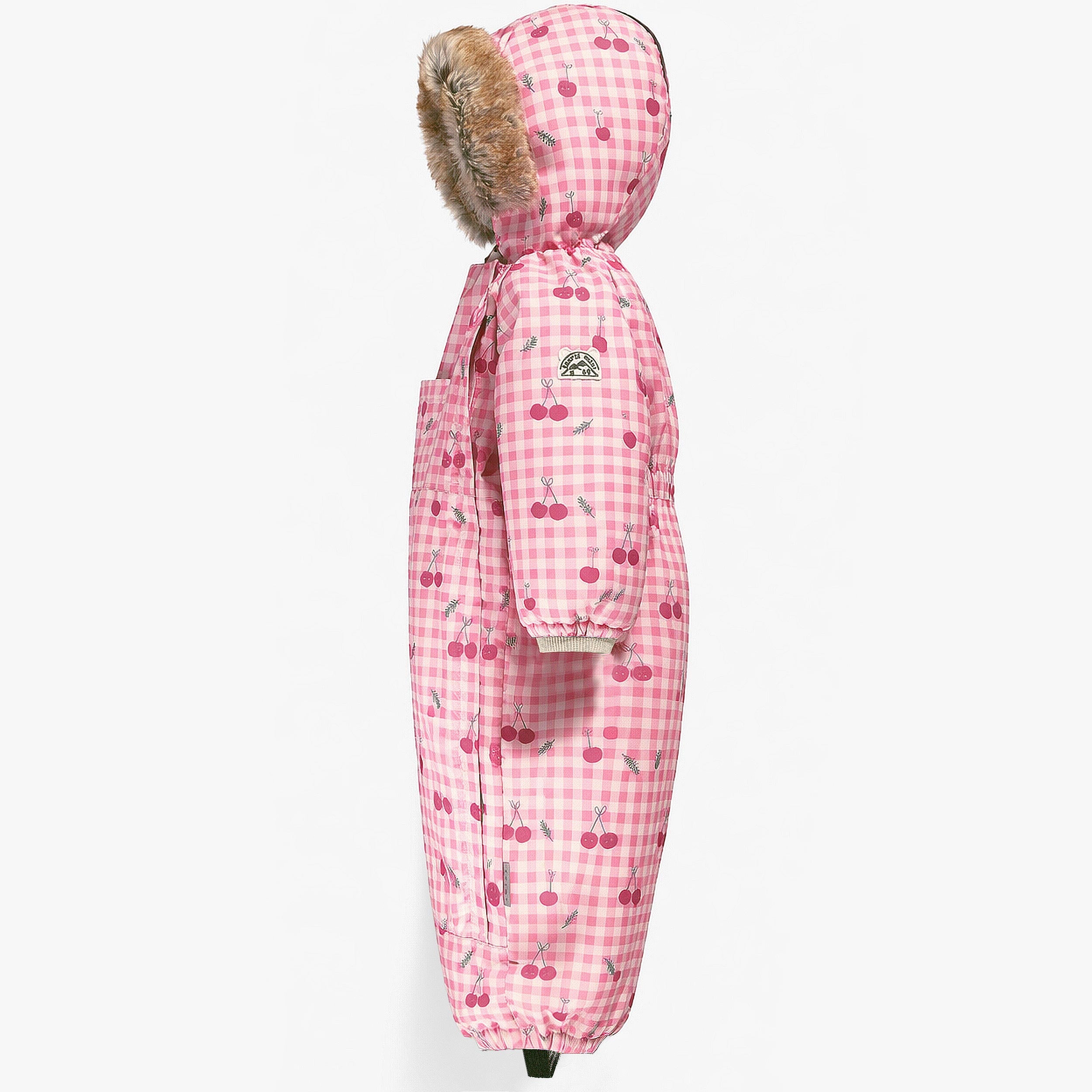 Pink Gingham One-Piece Snowsuit with Print, baby