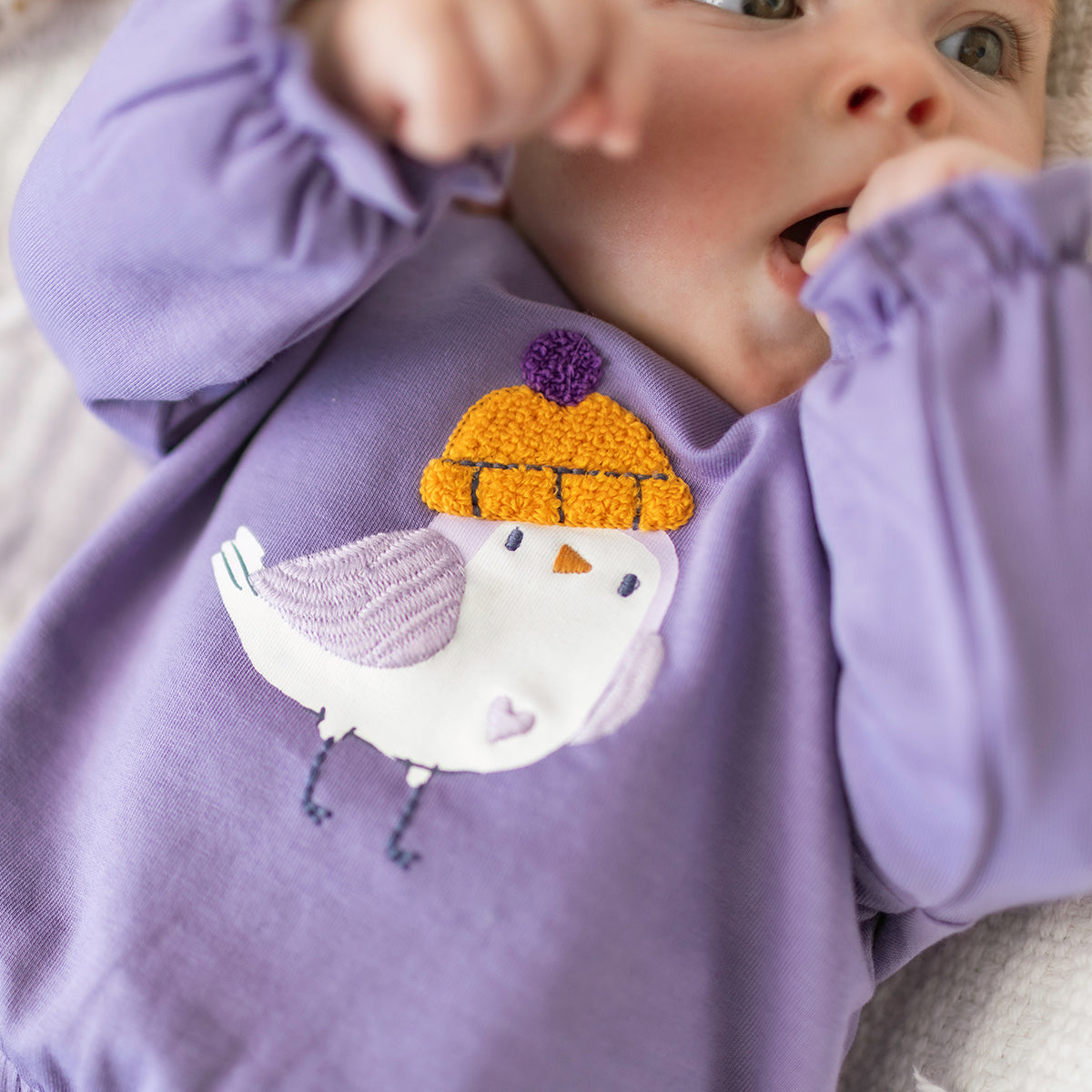 Purple sweatshirt with illustration, newborn