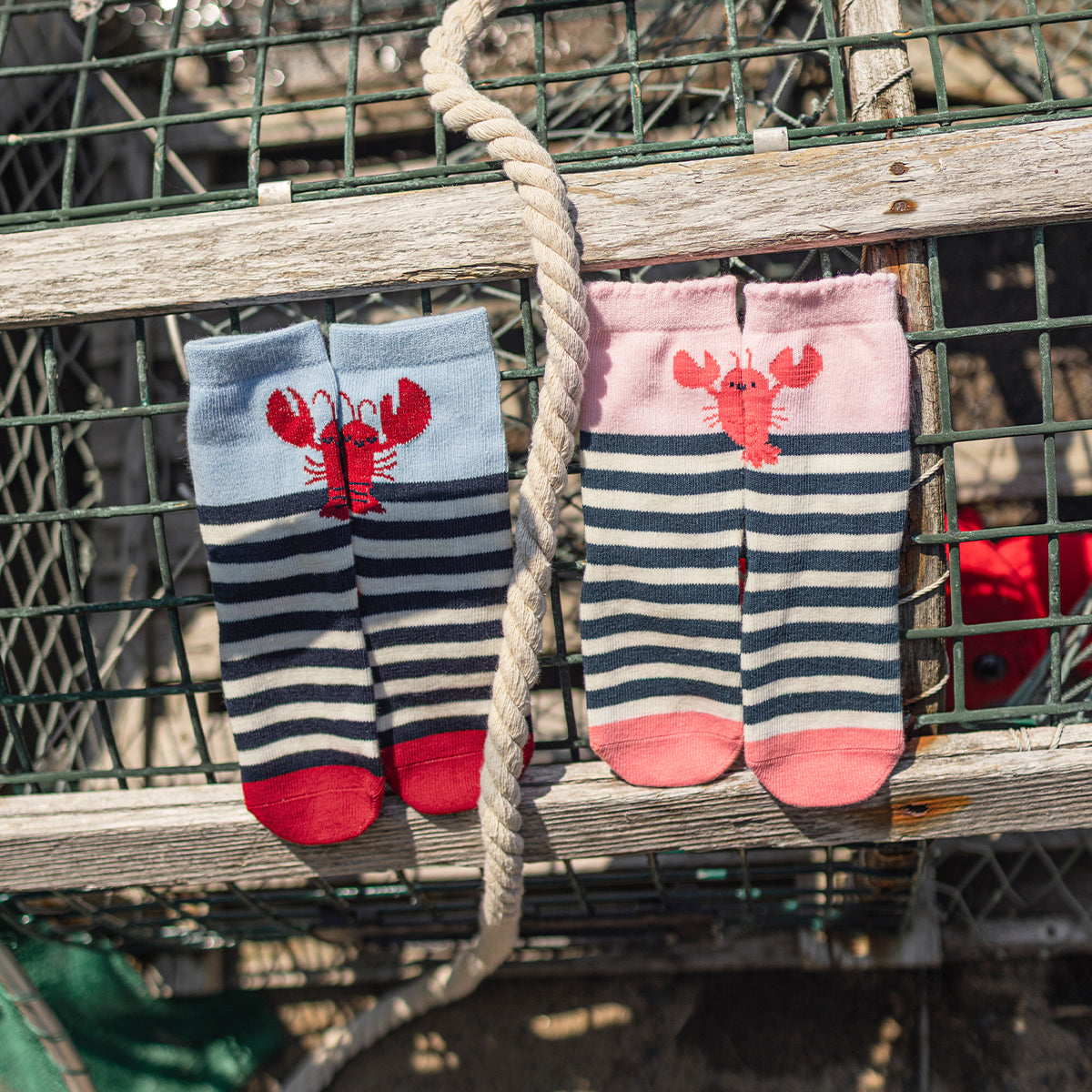 Cream and navy socks with stripes and lobster, child