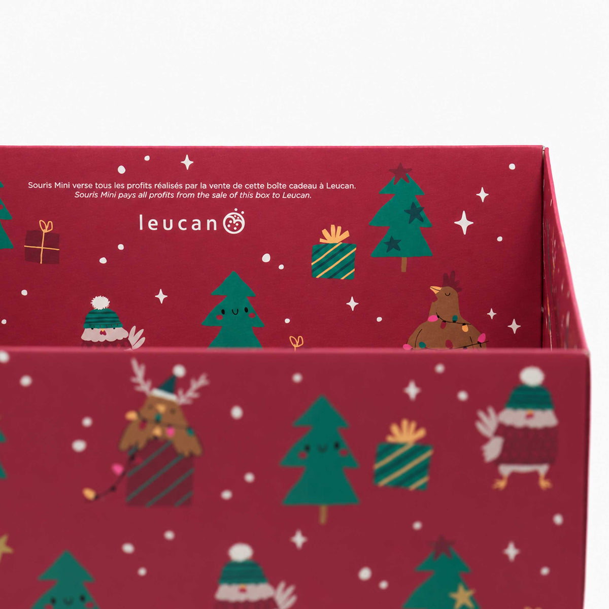 Red christmas gift box supporting Leucan