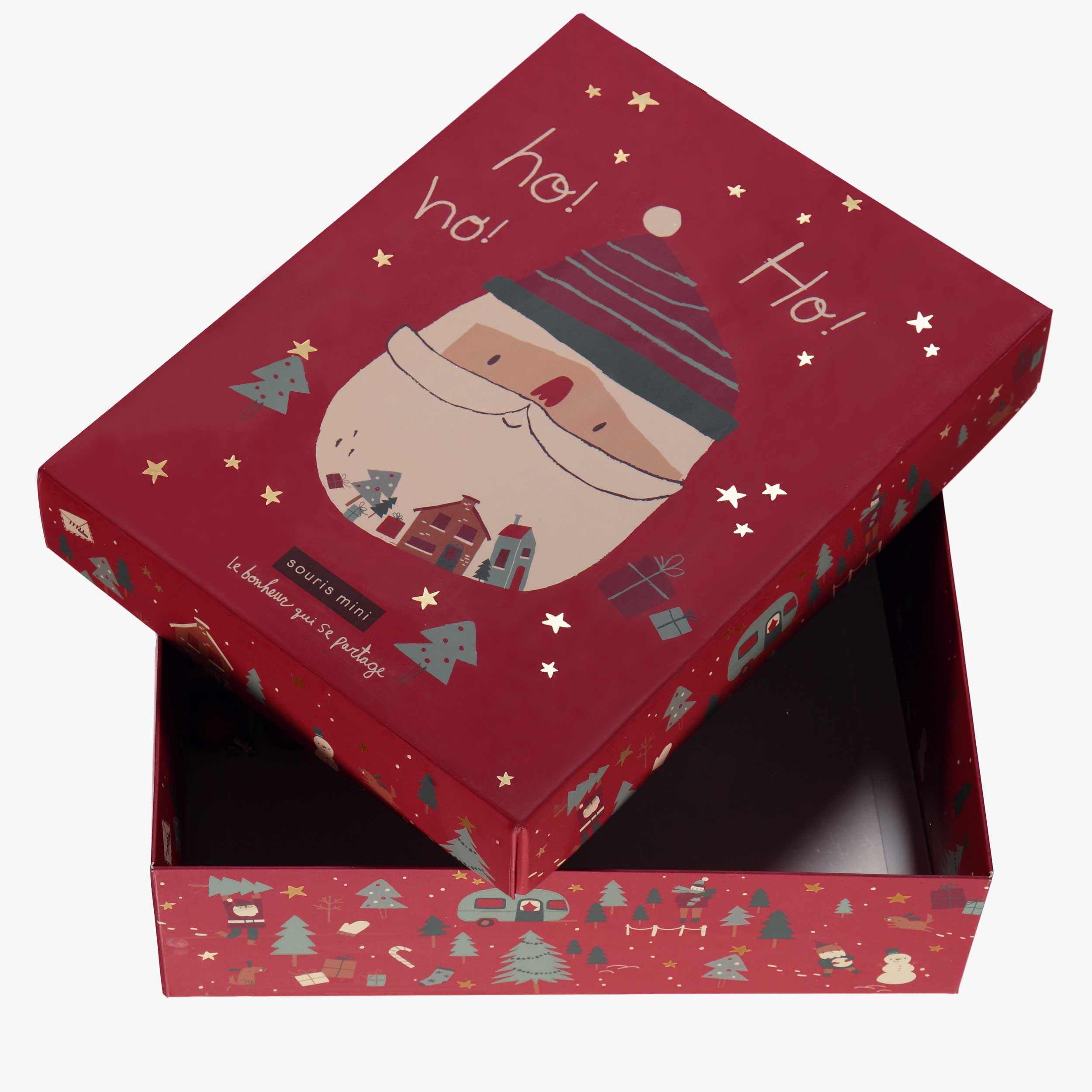 Boîte cadeau des Fêtes - Souris Mini