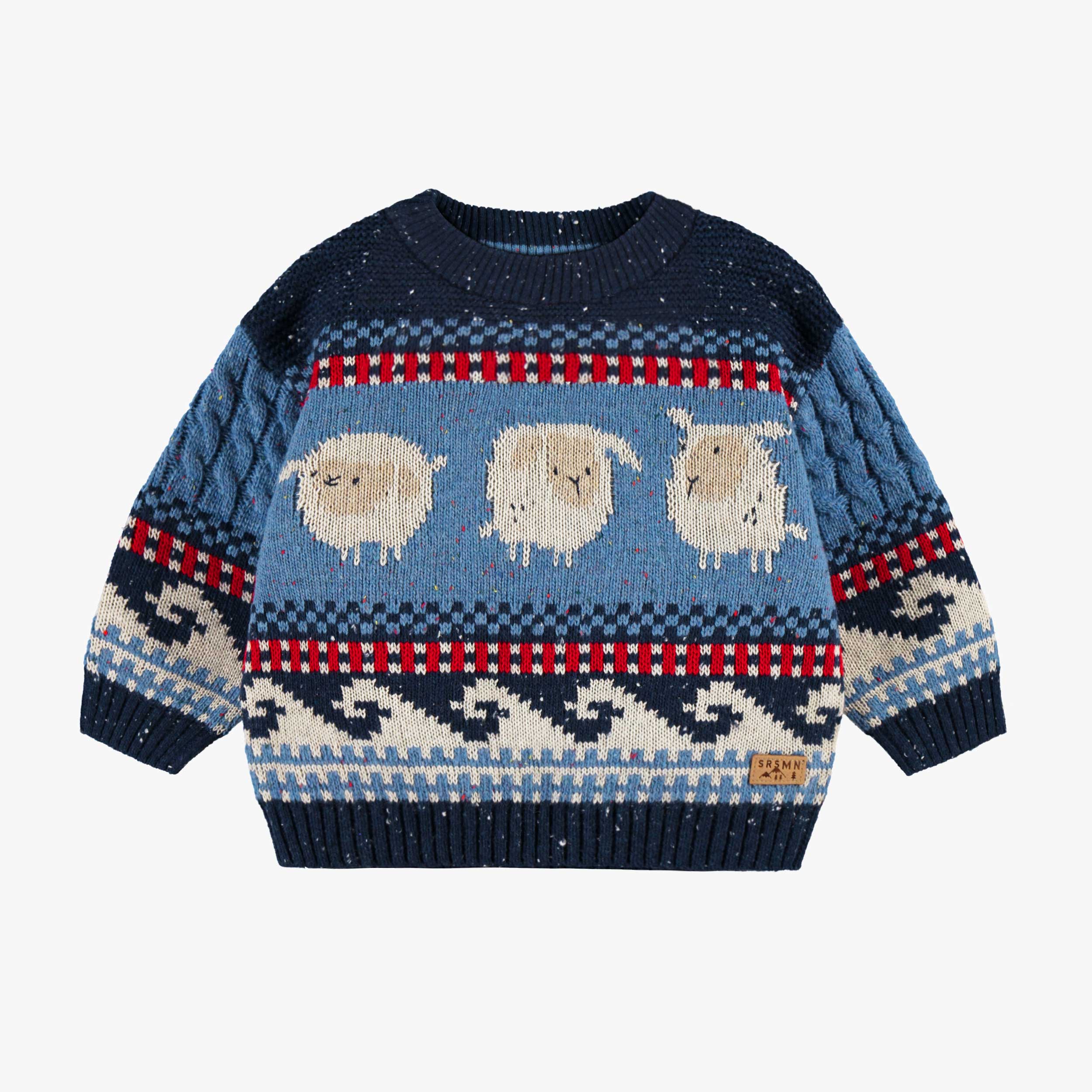 Chandail bleu en tricot, bébé - Souris Mini