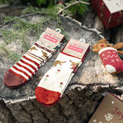 Chaussettes crème et bourgogne avec chiens des fêtes, enfant || Cream and burgundy socks with holiday dogs, child