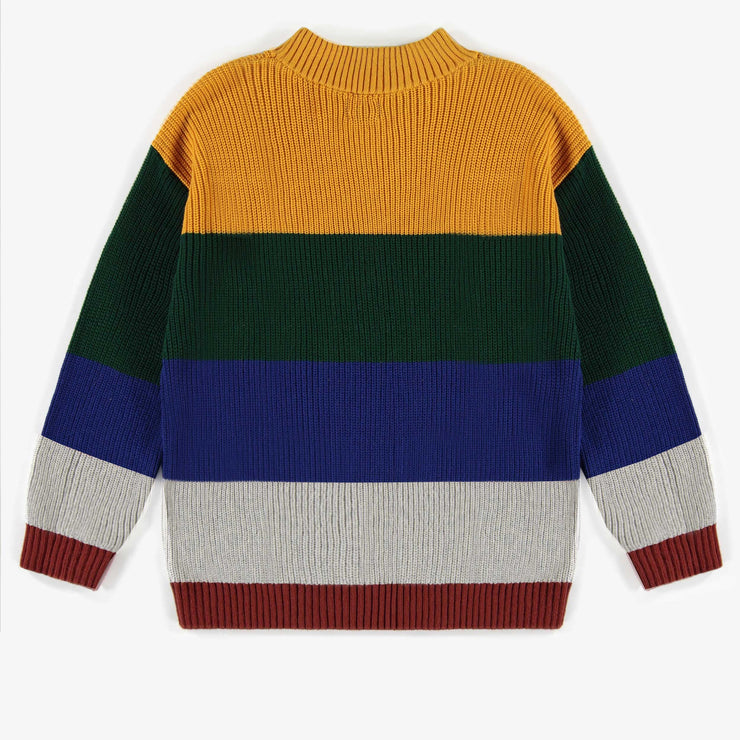 Chandail de maille ligné multicolore, adulte  || Multicolor striped sweater, adult